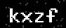 verify code