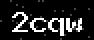 verify code